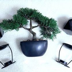 Plant And Candle Holders