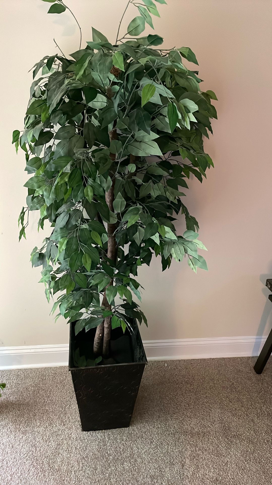 Plant Decoration 