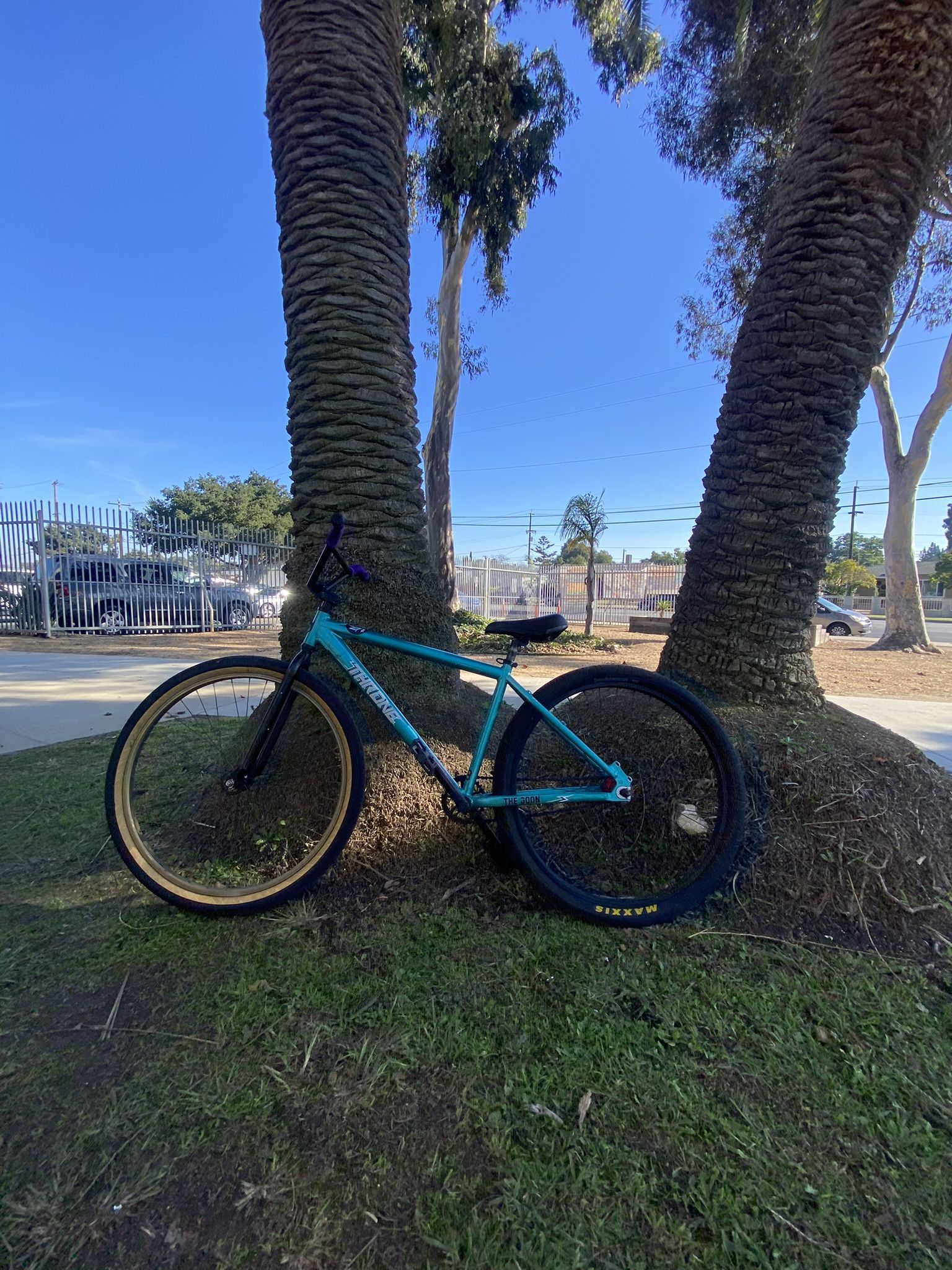 Throne Bike 29er