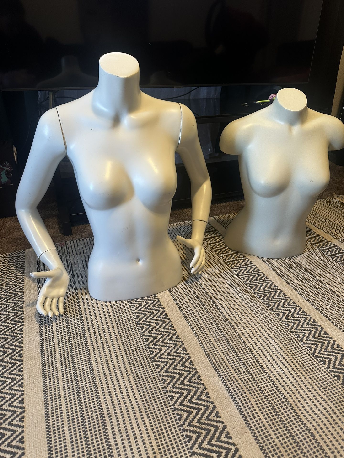 Female Mannequin and Mannequin Torso