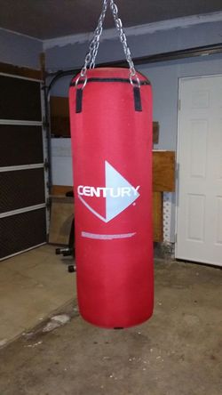 punshing bag