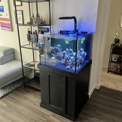 50 Gallon Tank W/ Stand