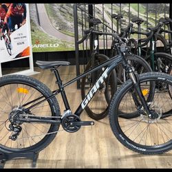 Giant Mountain Bike”Need It Out By This Week”