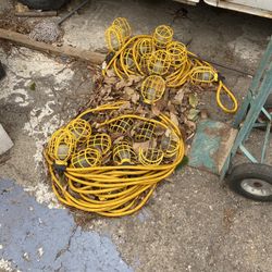 Lighted Electrical Cords