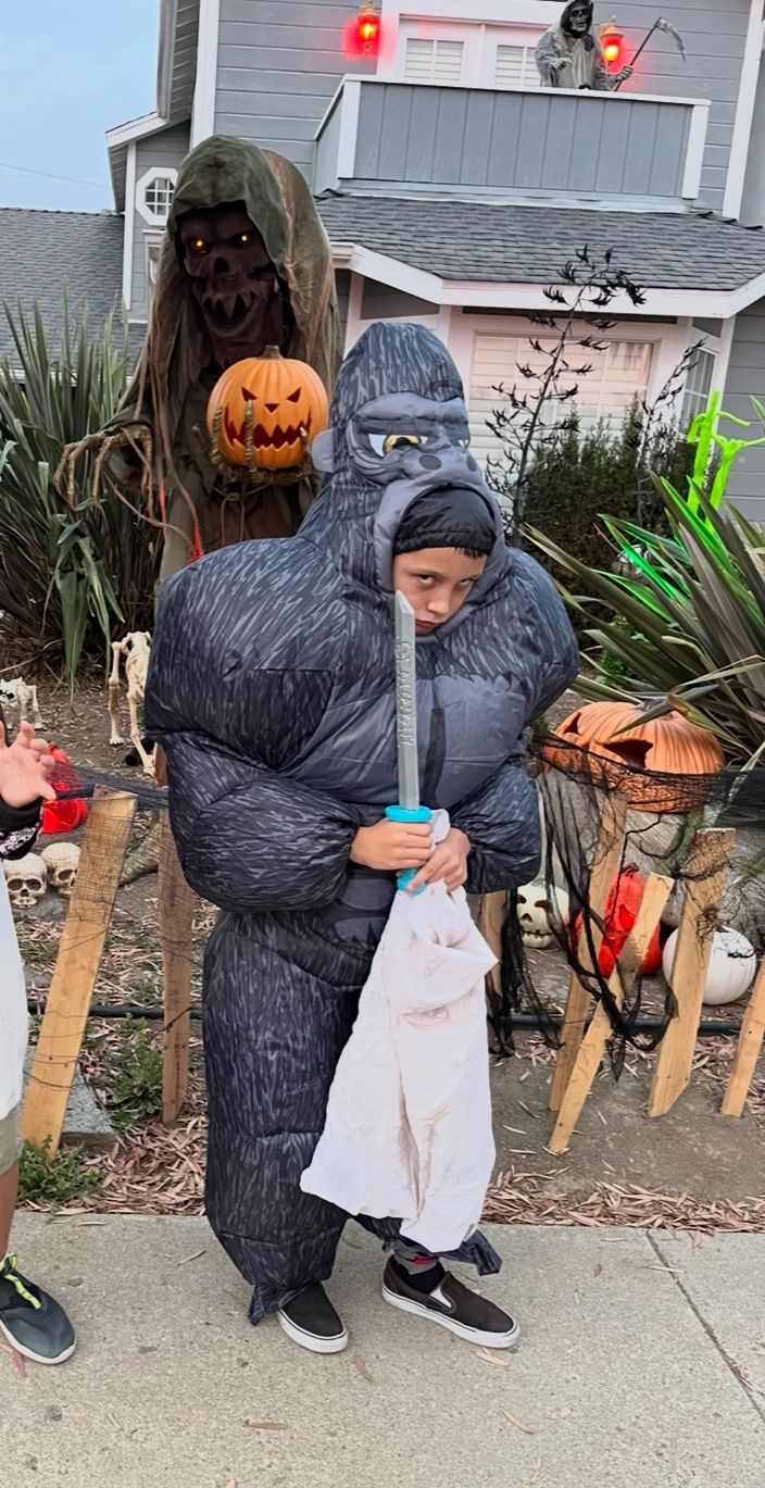 Child’s Inflatable Gorilla Costume One Size 