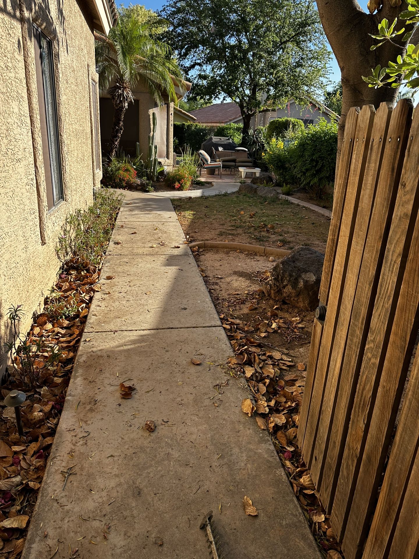Yard Clean Up
