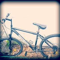 Mongoose Mountain Bike 