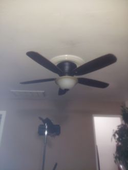 Large Ceiling Fan  $175 Obo 