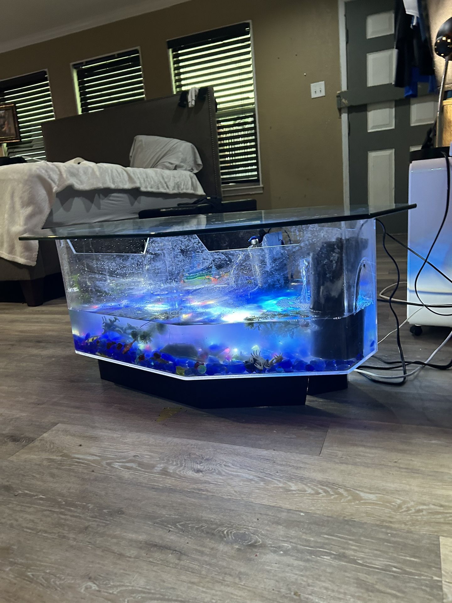 Aquarium Coffee Table Price Reduced