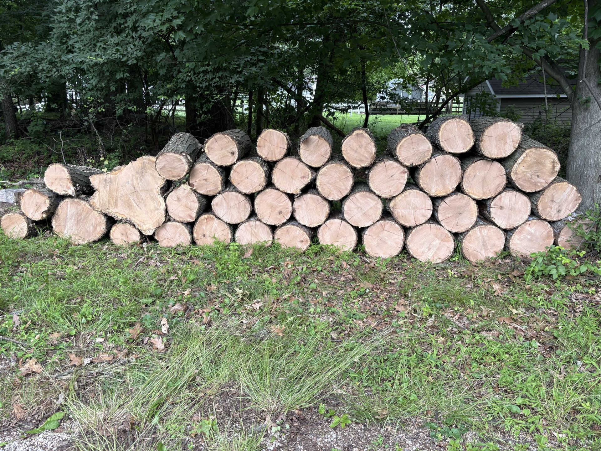 Free Firewood
