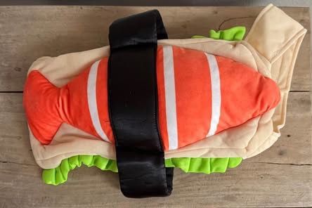 Dog Costume Fits M/L Sushi just $5 xox
