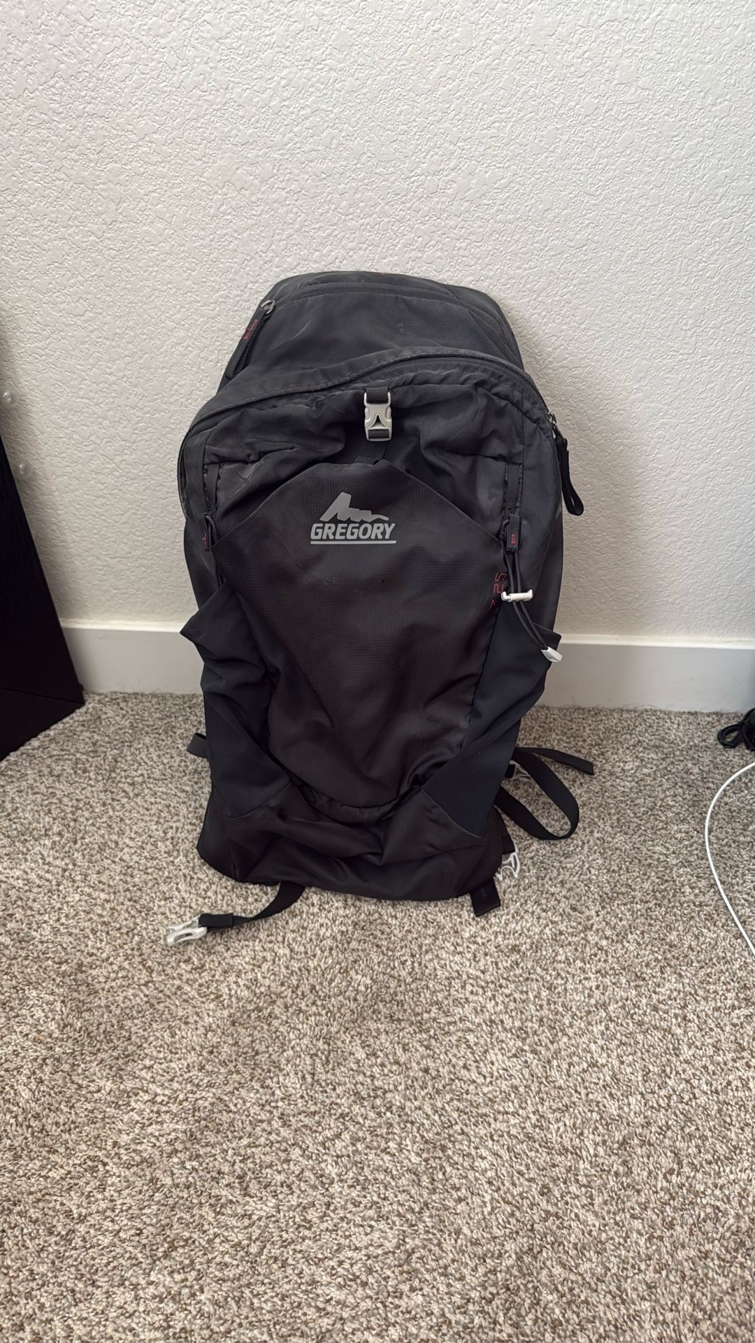 Gregory Backpack