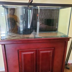 90 Gallon Turn key Planted Tank