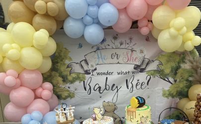 Gender Reveal Winnie The Pooh Backdrop