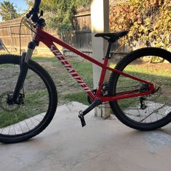 Specialized Mountain Bike
