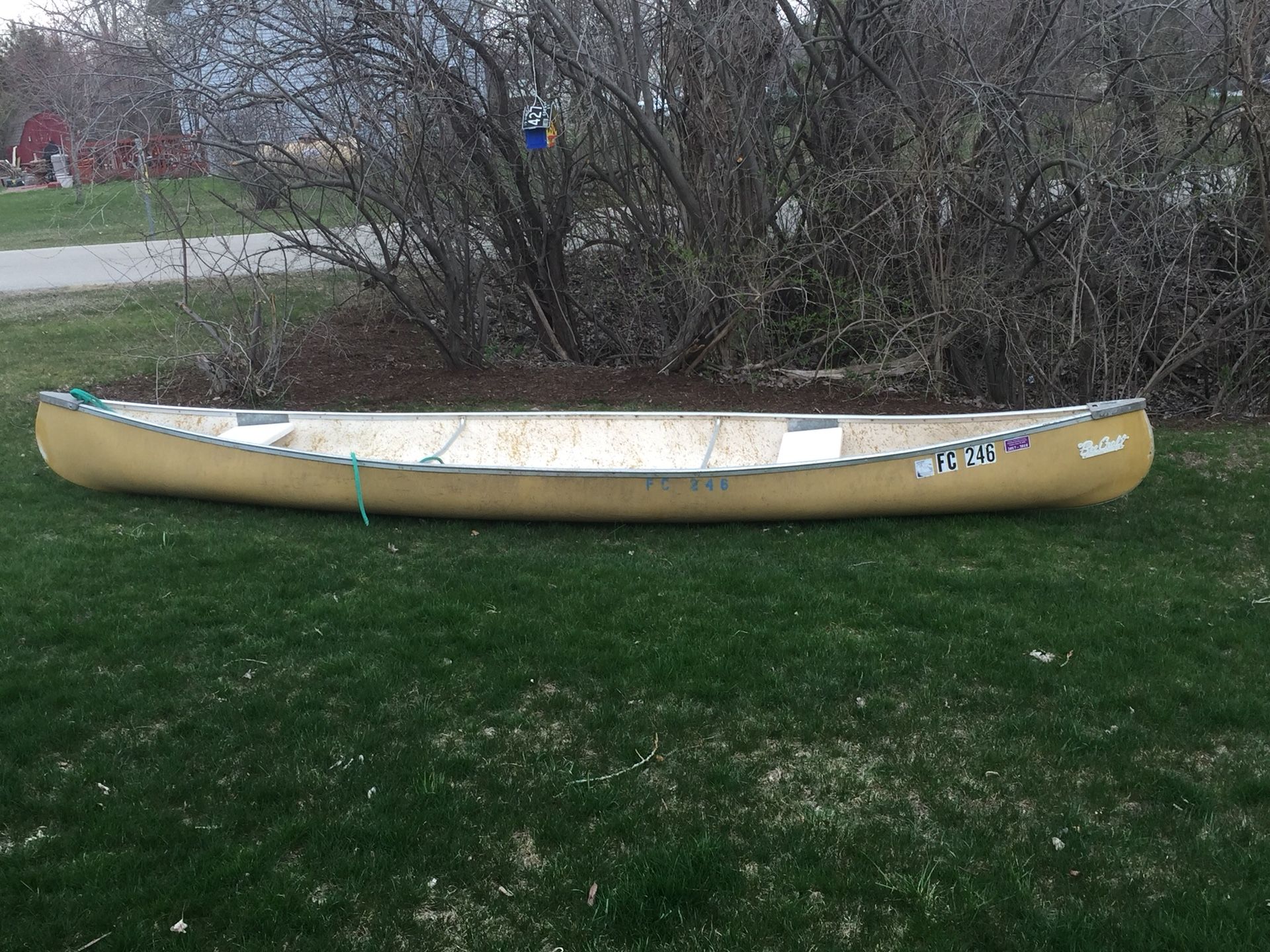 Bee Craft Fiberglass Canoe