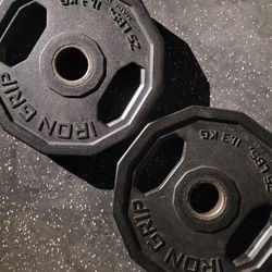 25lbs Olympic Weights 