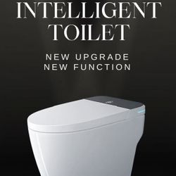 Luxury Smart Toilet with Bidet Built in Heated Seat Automatic Flush Warm Water Sprayer and Dryer White Contemporary Ceramic Includes Hardware