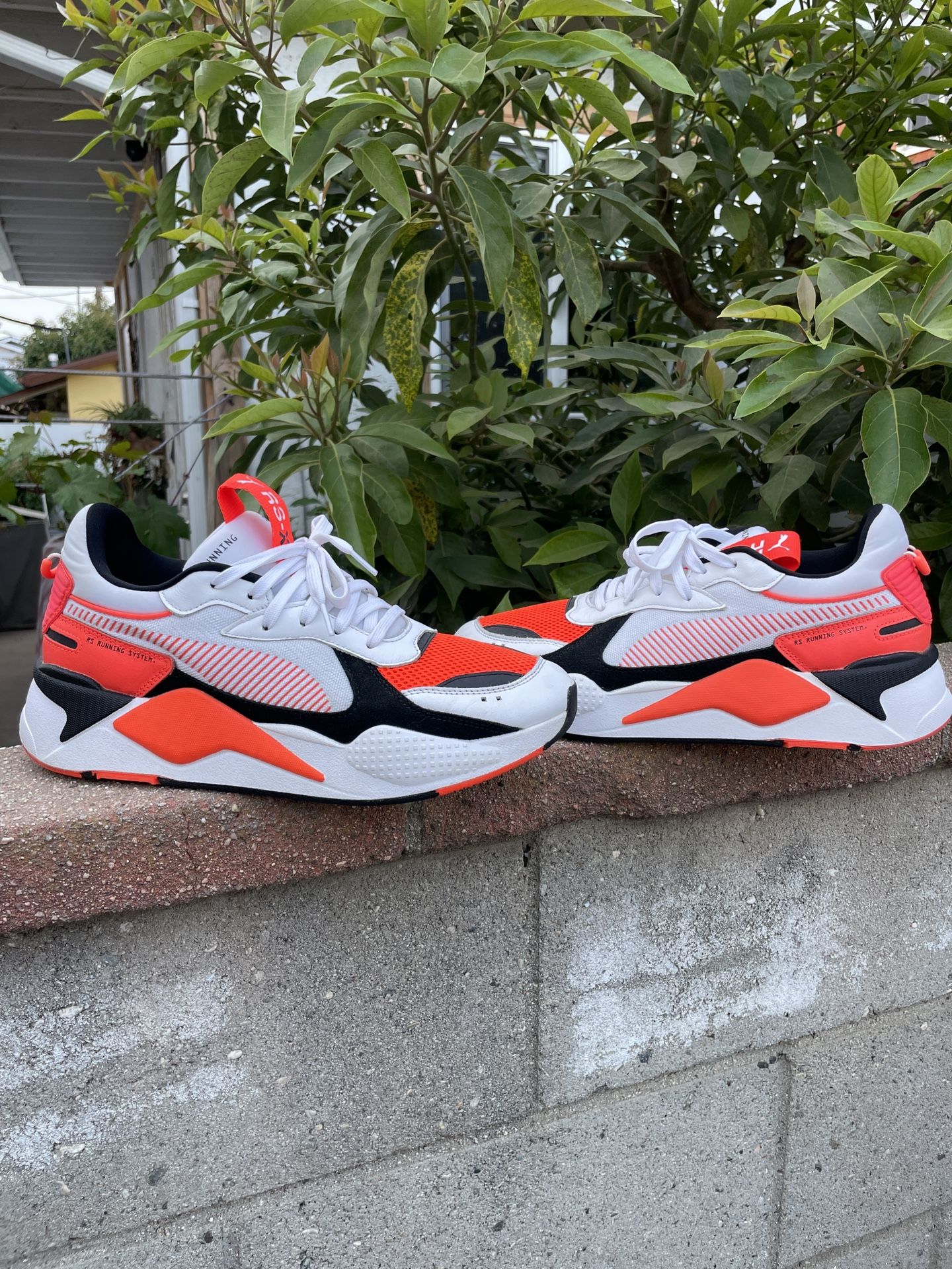 Pumas Size 12