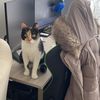 Jasmina