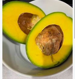 Avocado tree