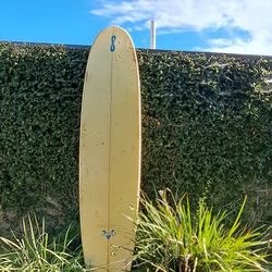 Infinity Longboard 9' 10 Inches