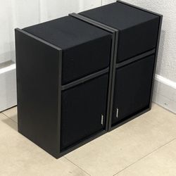 BOSE 301 Series III Speaker 