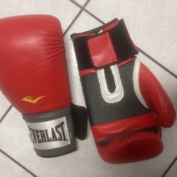 Boxing Gloves Everlast 14 Oz