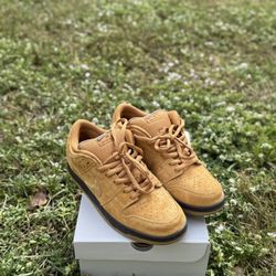 Nike Dunks low pro’s shoes