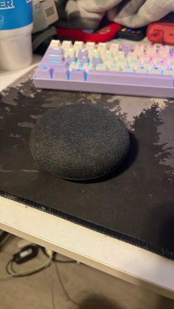 Google home mini