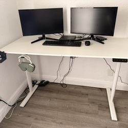 Standing Desk 