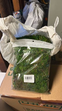Decorative Moss 2/12 pack
