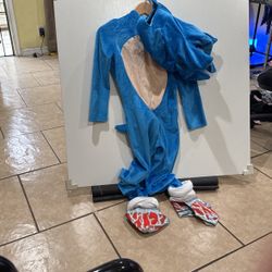 Sonic costume