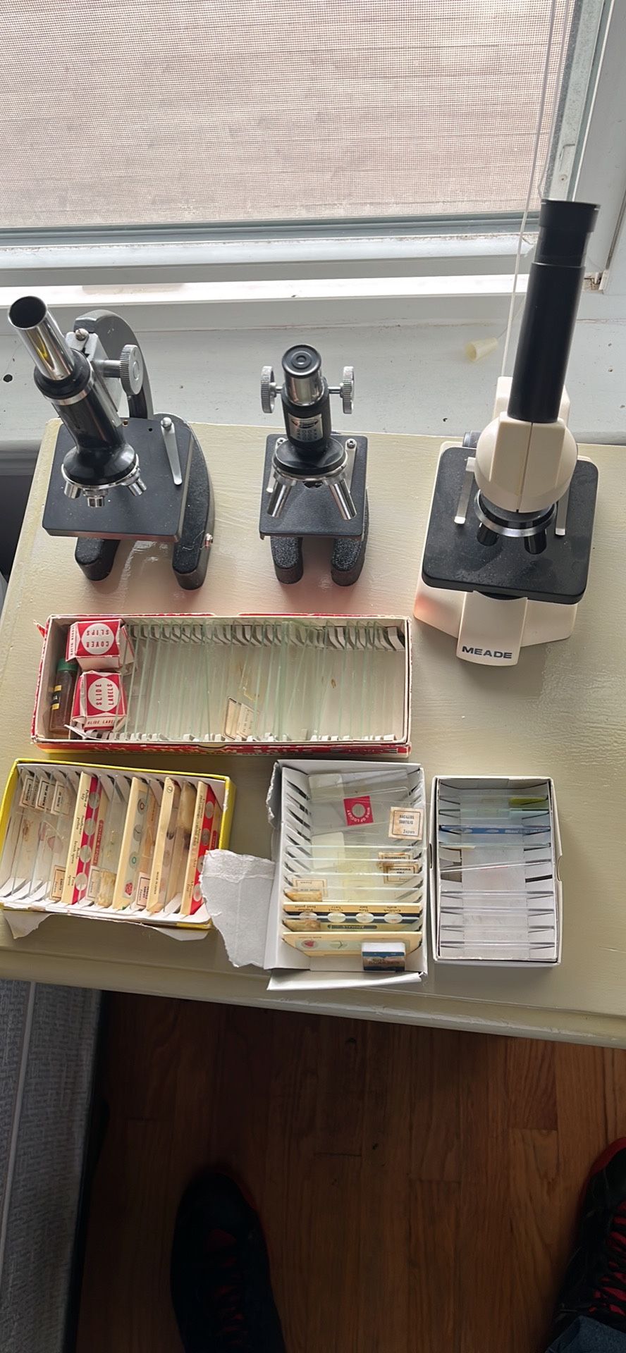 Microscopes And Slides