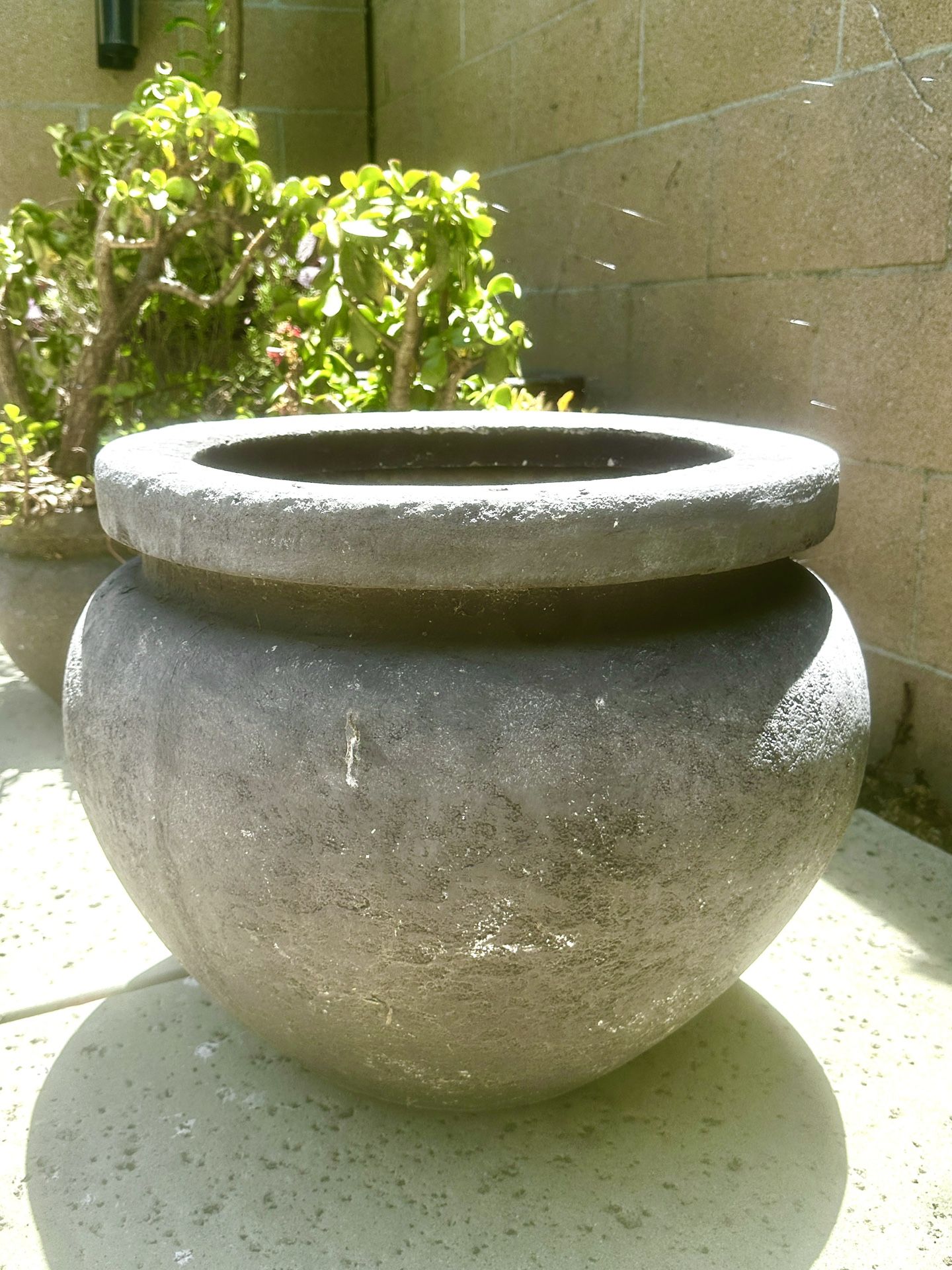 Plant Pots