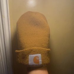 carhartt beanie
