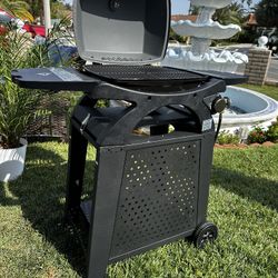 Brand New BBQ Grill Propane 