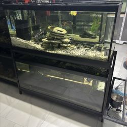 75 Gallon Fish Tanks 