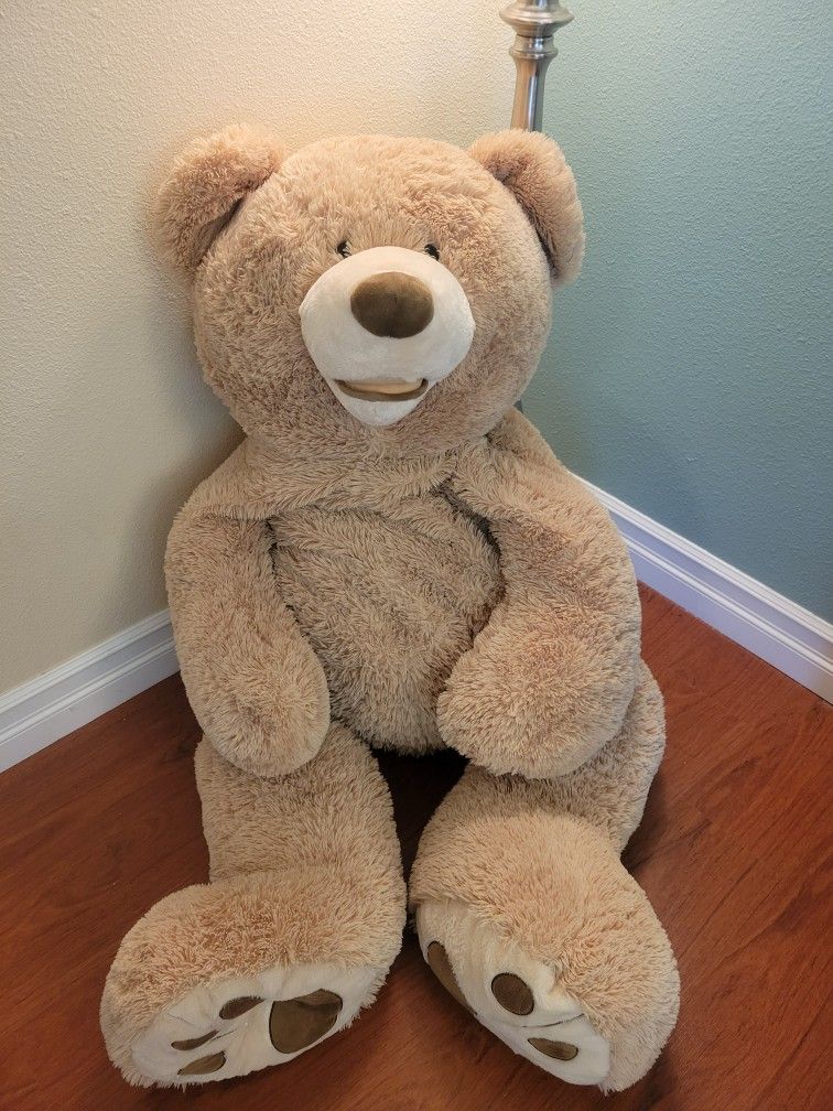 Giant Costco Plush Bear 🧸