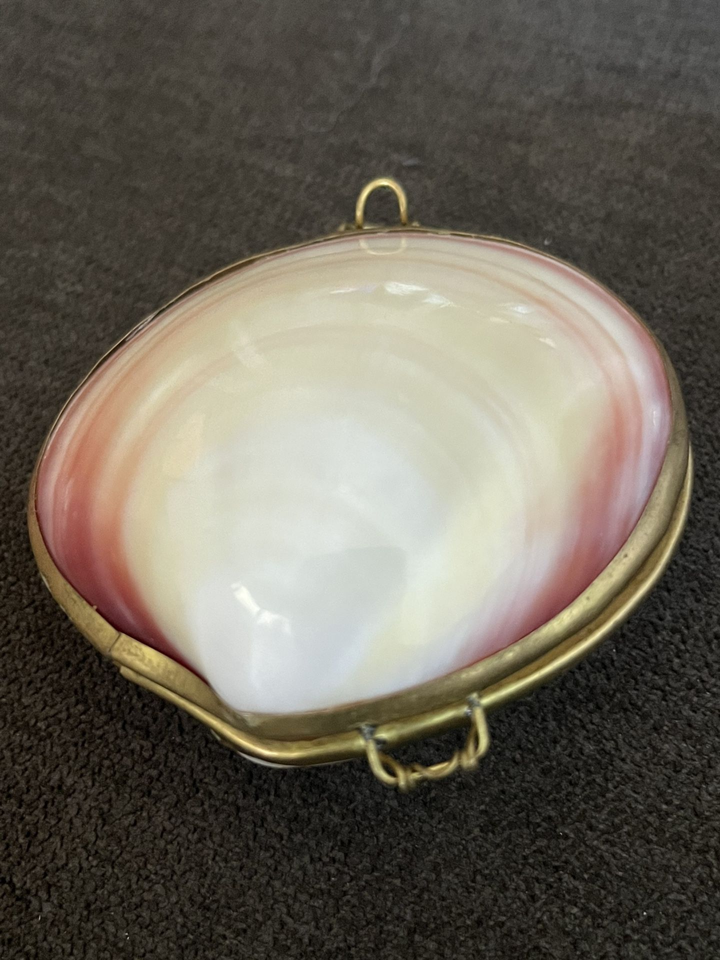 Genuine Clamshell With Brass Clasp Trinket Box