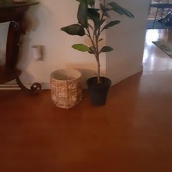 Es Una Planta Artificial