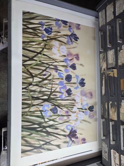 Dancing beauty iris by using Huawei chang print