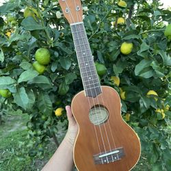 Mitchell MU40NT Concert Ukulele