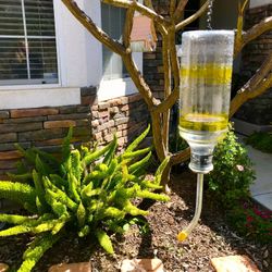 Hummingbird Feeder All Glass Easy To Clean Humming Bird Feeder 