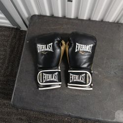 Everlast Boxing Gloves Good Cond