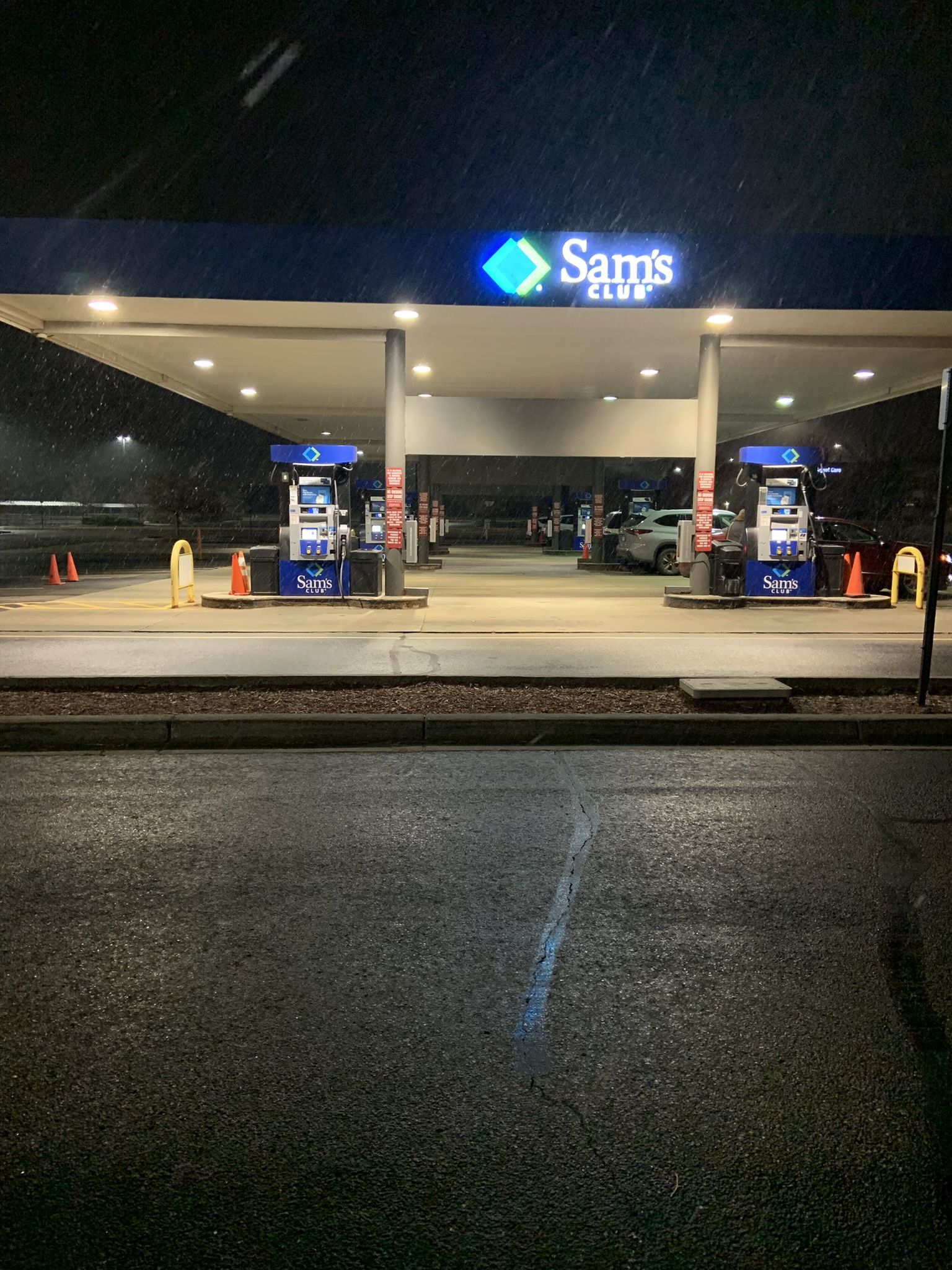 Fun Animals @ Sam's Club