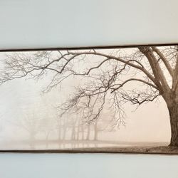 Modern Horizontal Wall Art - Misty Forest Scene (Framed)