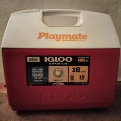 Igloo 16 qt Cooler 