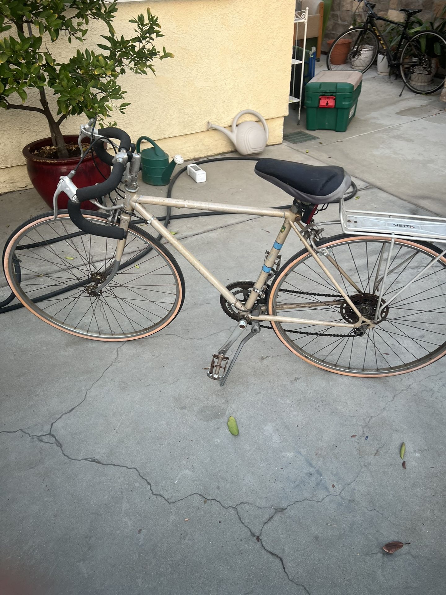 Vintage Bike