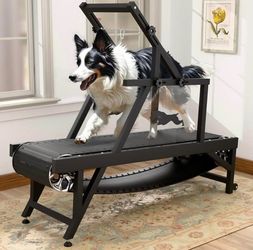 Dog Treadmill, Doggy Treadmill with Brake & Plastic Track, Dog Pacer Treadmill to Keep Active and Fit, Up to 250LBS(Medium)